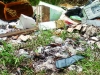 scempio ambientale nel salento