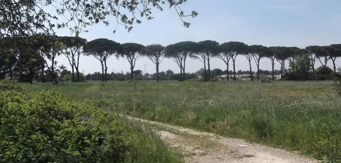 Franite - Viale