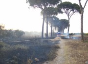 maglie incendio franite