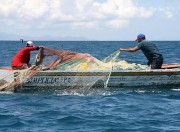 Pesca