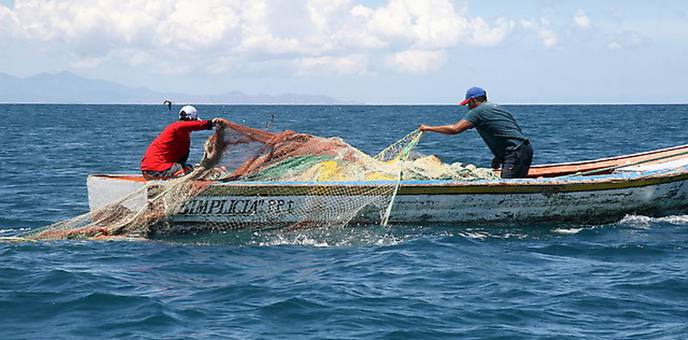 Rilancio settore della pesca: terminata la presentazione dei bandi del Gac Adriatico Salentino Immagine Rilancio settore della pesca: terminata la presentazione dei bandi del Gac Adriatico Salentino