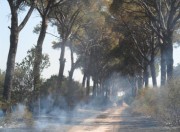 Immagine Le Franite di Maglie ancora a fuoco