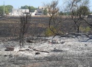 Immagine Le Franite di Maglie ancora a fuoco