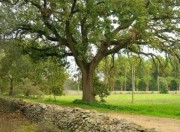 parco-dei-paduli