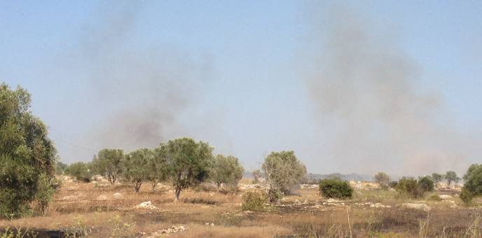 Incendi nel Salento, continua l’allarme Immagine Incendi nel Salento, continua l’allarme