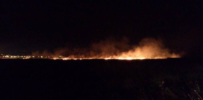 Ancora incendi. In fiamme la "pasturizza", tra San Cassiano e Nociglia Immagine Ancora incendi. In fiamme la "pasturizza", tra San Cassiano e Nociglia