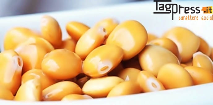 copertina lupini