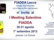 copertina meeting Fiadda