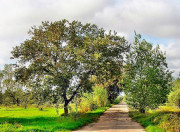 parco dei paduli