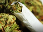 copertina marijuana