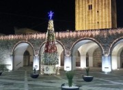 L'eco albero