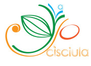 scisciula
