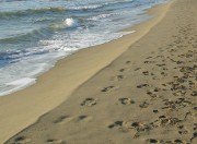 spiaggia
