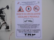 manifesti falsi guardia costiera tap