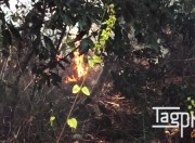incendio santa cesarea