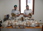 foto finanza - sequestro marijuana
